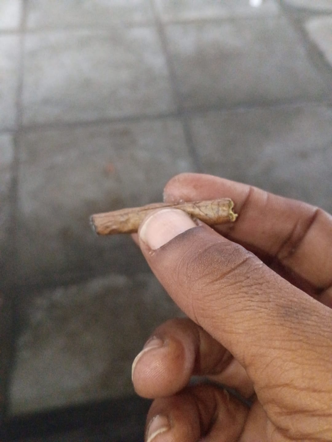 Customer photo review of Puffaroo - Triangle Kush - 28 Grams - Indica