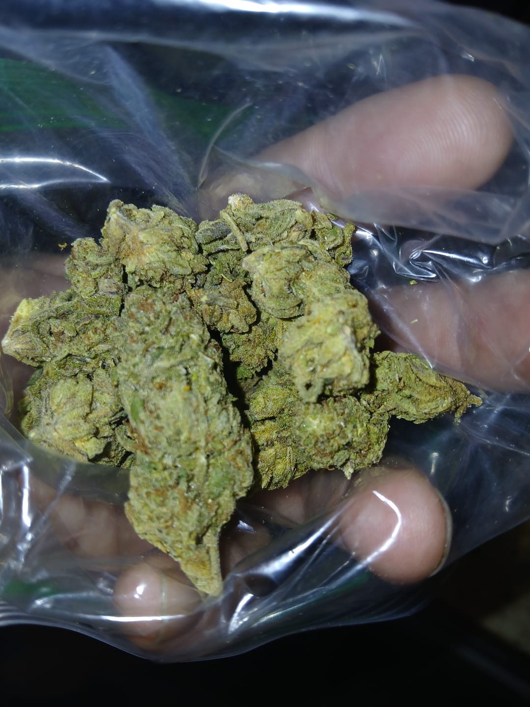 Customer photo review of Cheap THCA Flower Half Pound