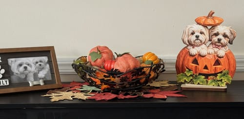 Customer's personalized dog cat pumpkin plaque displayed on a dark table next to a bowl of autumn decor.