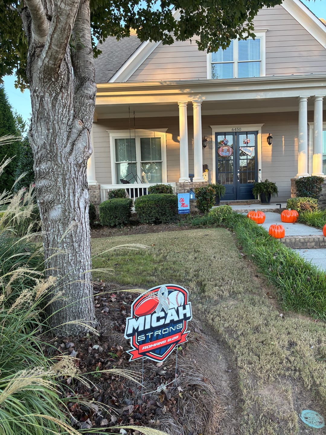 Customer photo review of Micah WLA