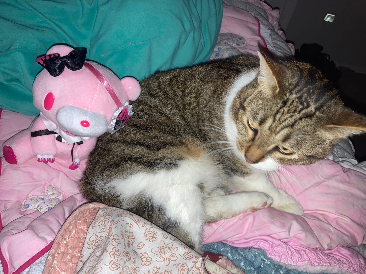 Customer photo review of Gloomy Bear Eye Patch Lolita (PINK)
