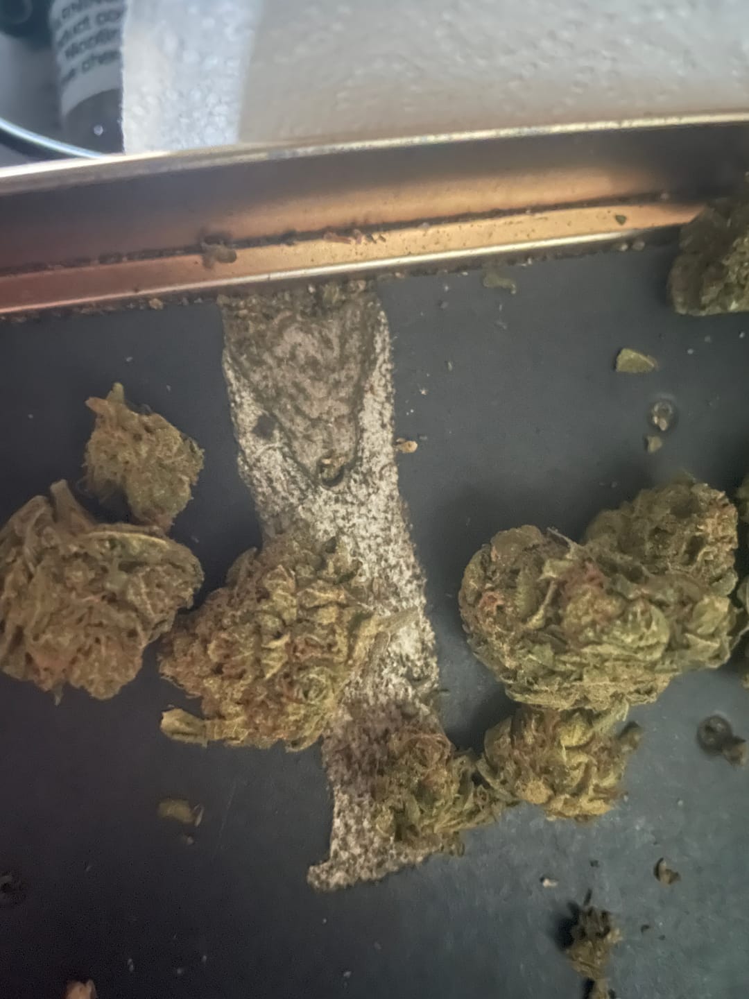 Customer photo review of Jealousy - 28 Grams - Hybrid