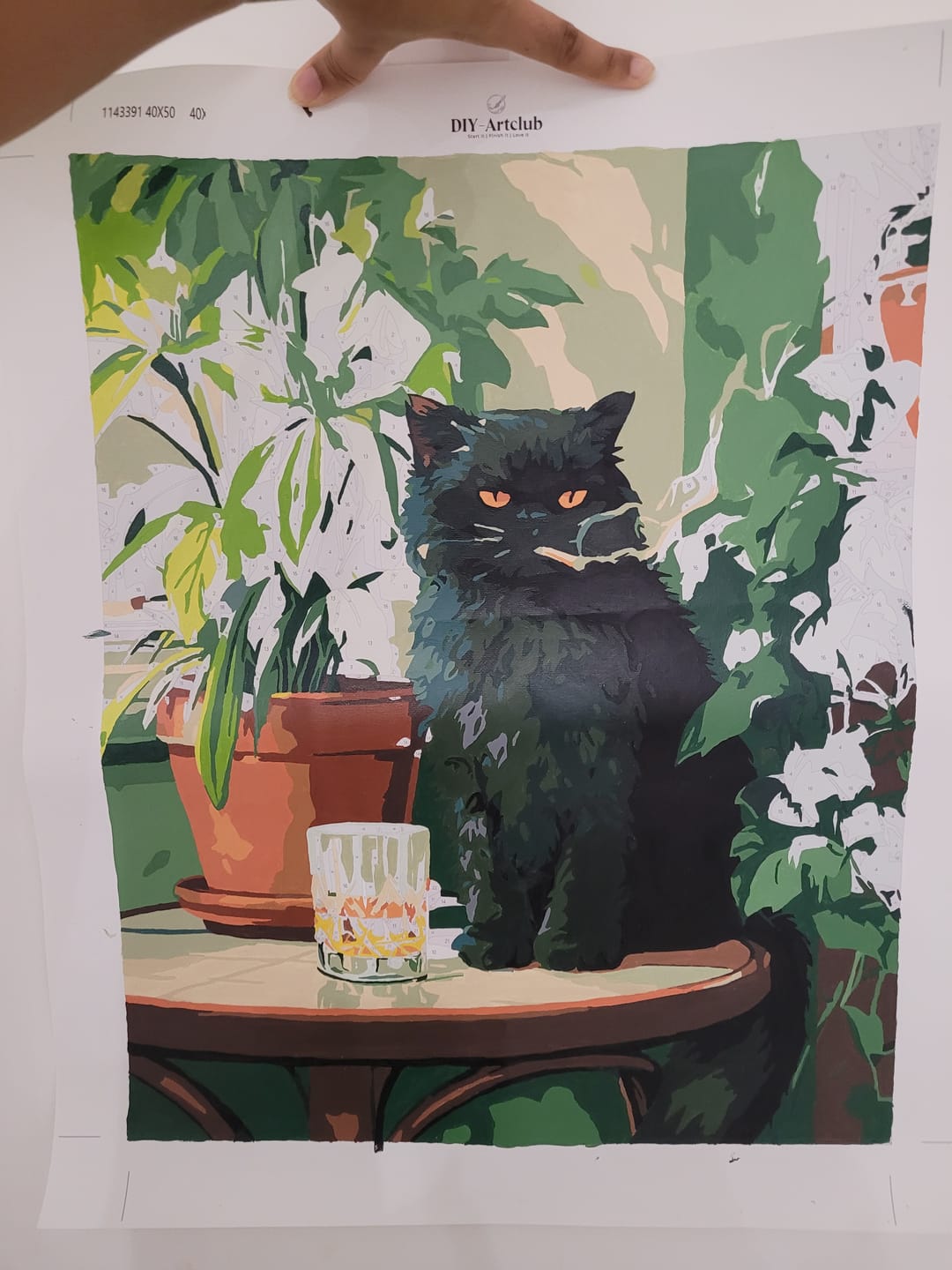 Customer photo review of Grumpy cat | Paint by Number