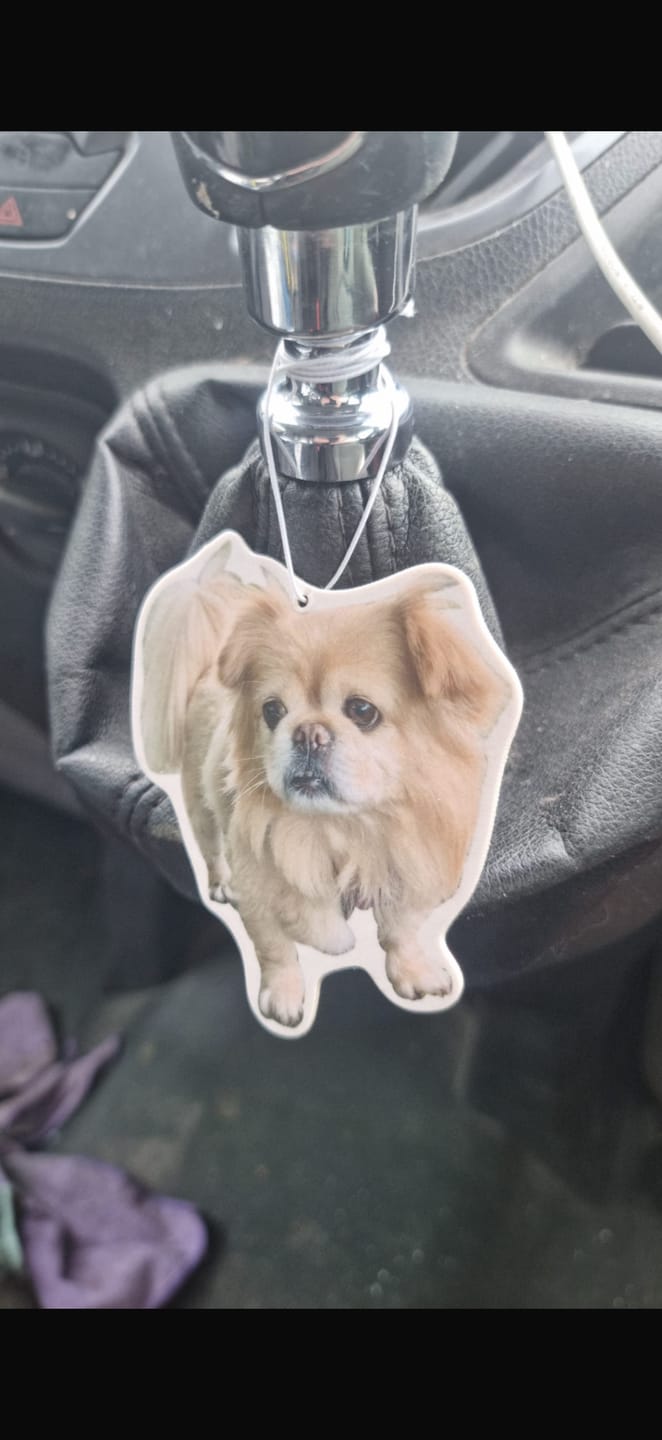 Customer photo review of Personalised Car Air Freshener