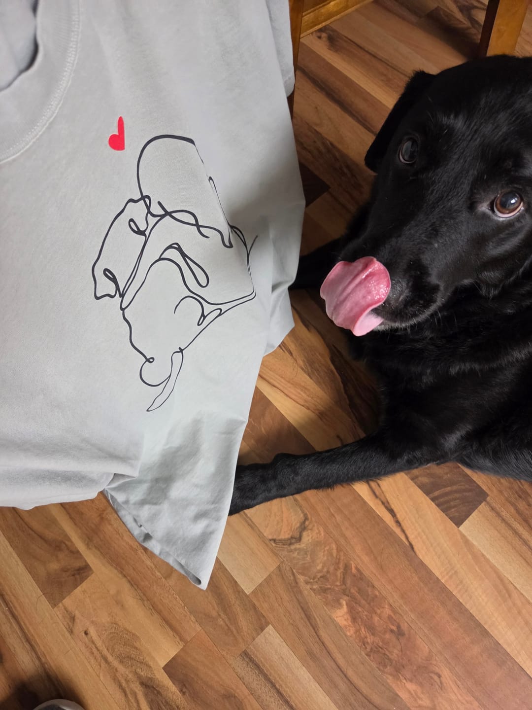 Customer photo review of Labrador and Girl Love Premium Tee