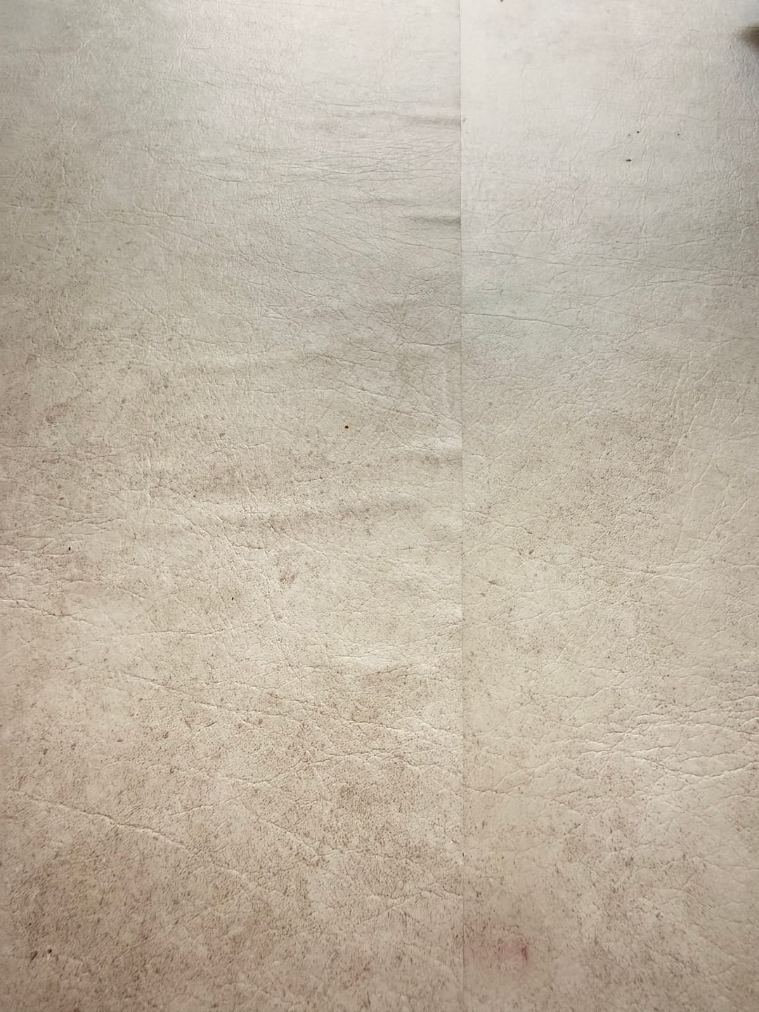 Customer photo review of PARKLON 特厚 ロールマット厚み1.7cm 幅が選べる7サイズ　長さは選べる4サイズ