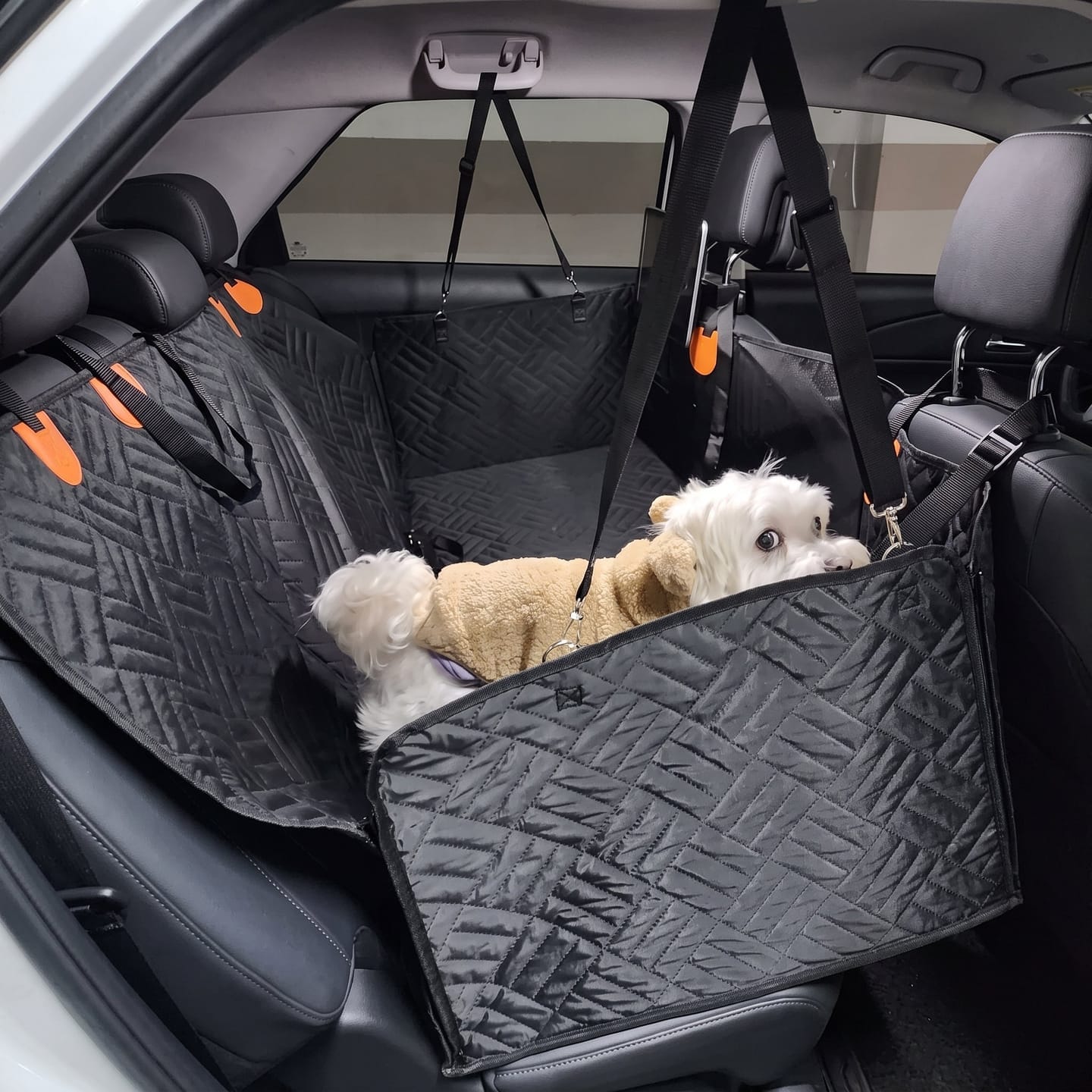 Customer photo review of Festpfote™ Hundeliege fürs Auto mit festem Boden