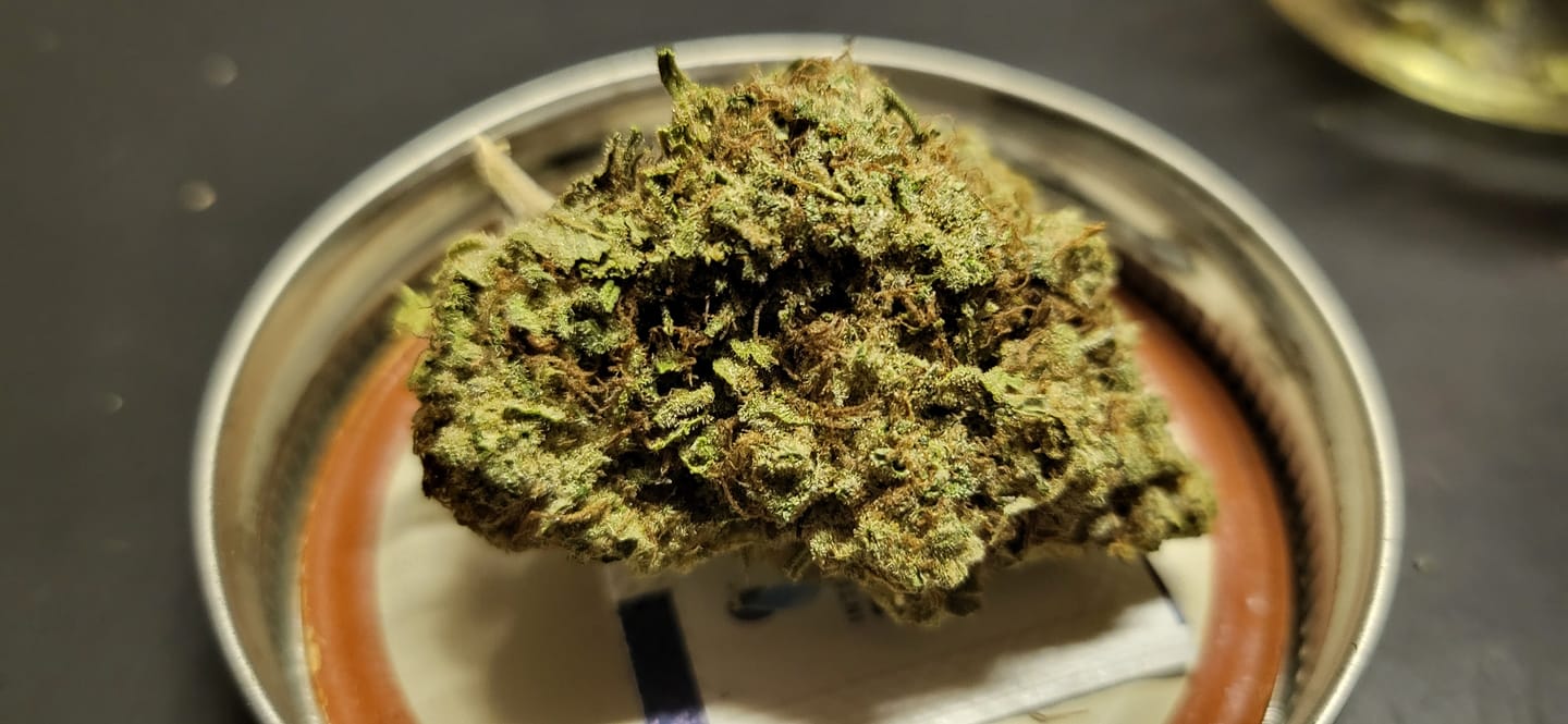 Customer photo review of Candy Gas THCA Flower