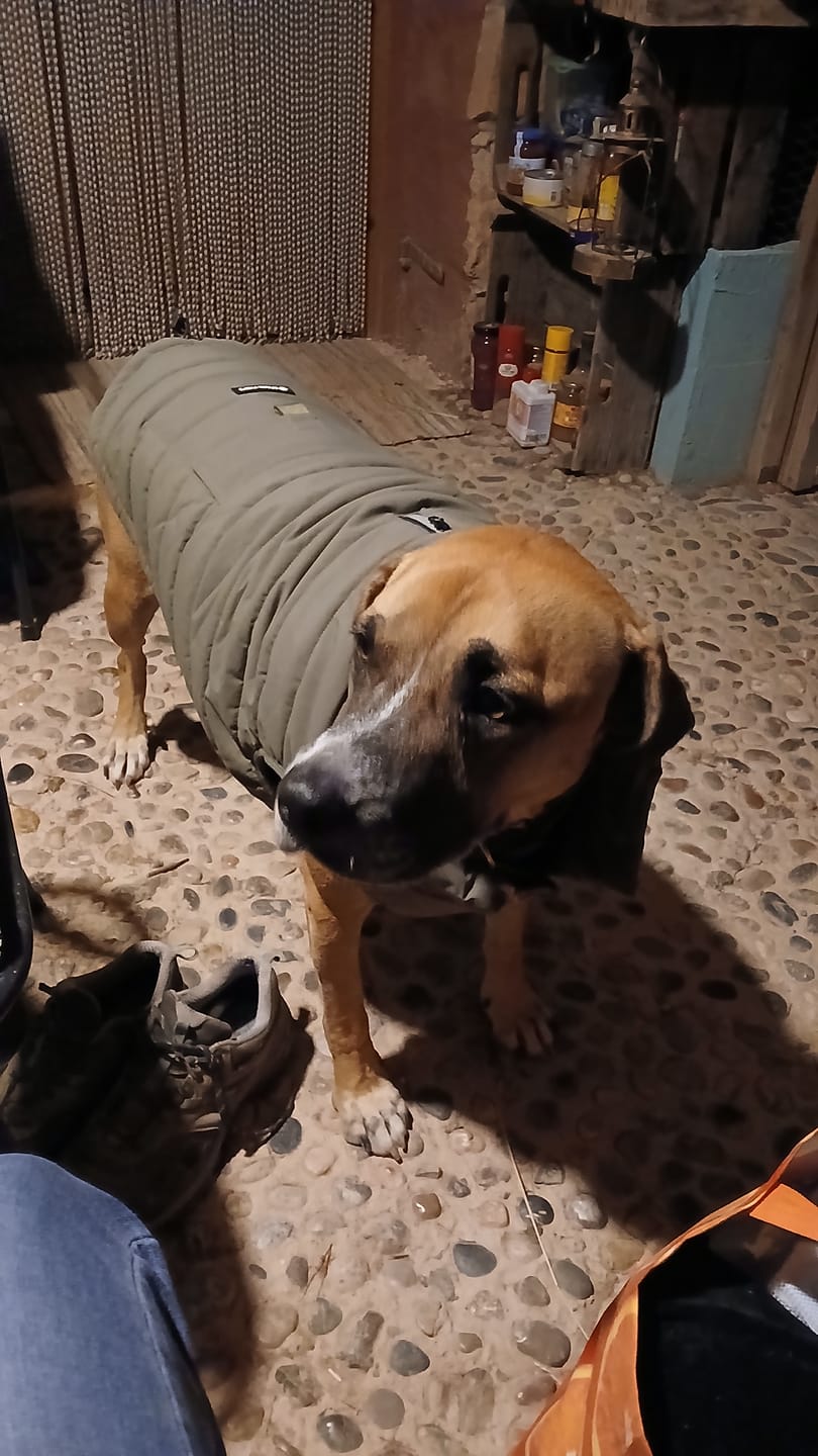 Customer photo review of WarmShield Water-Resistant Jacket - Olive
