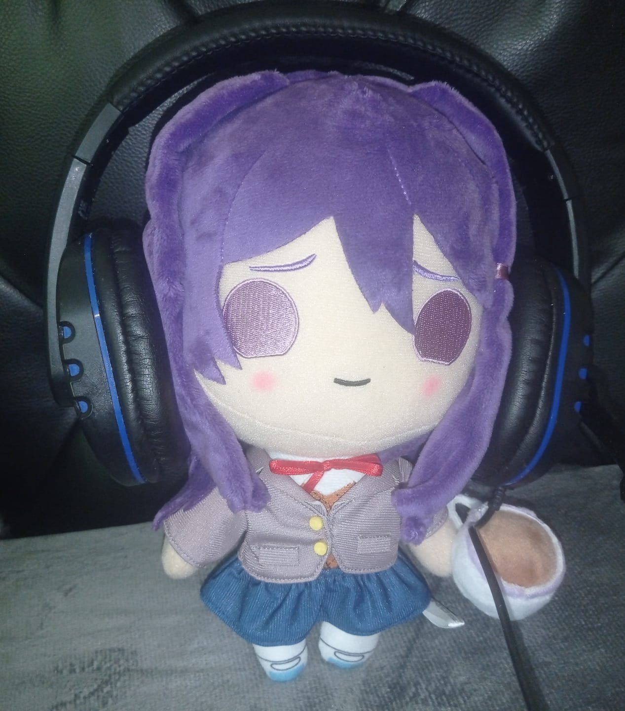 Customer photo review of Doki Doki Literature Club - Yuri Collector's Plush