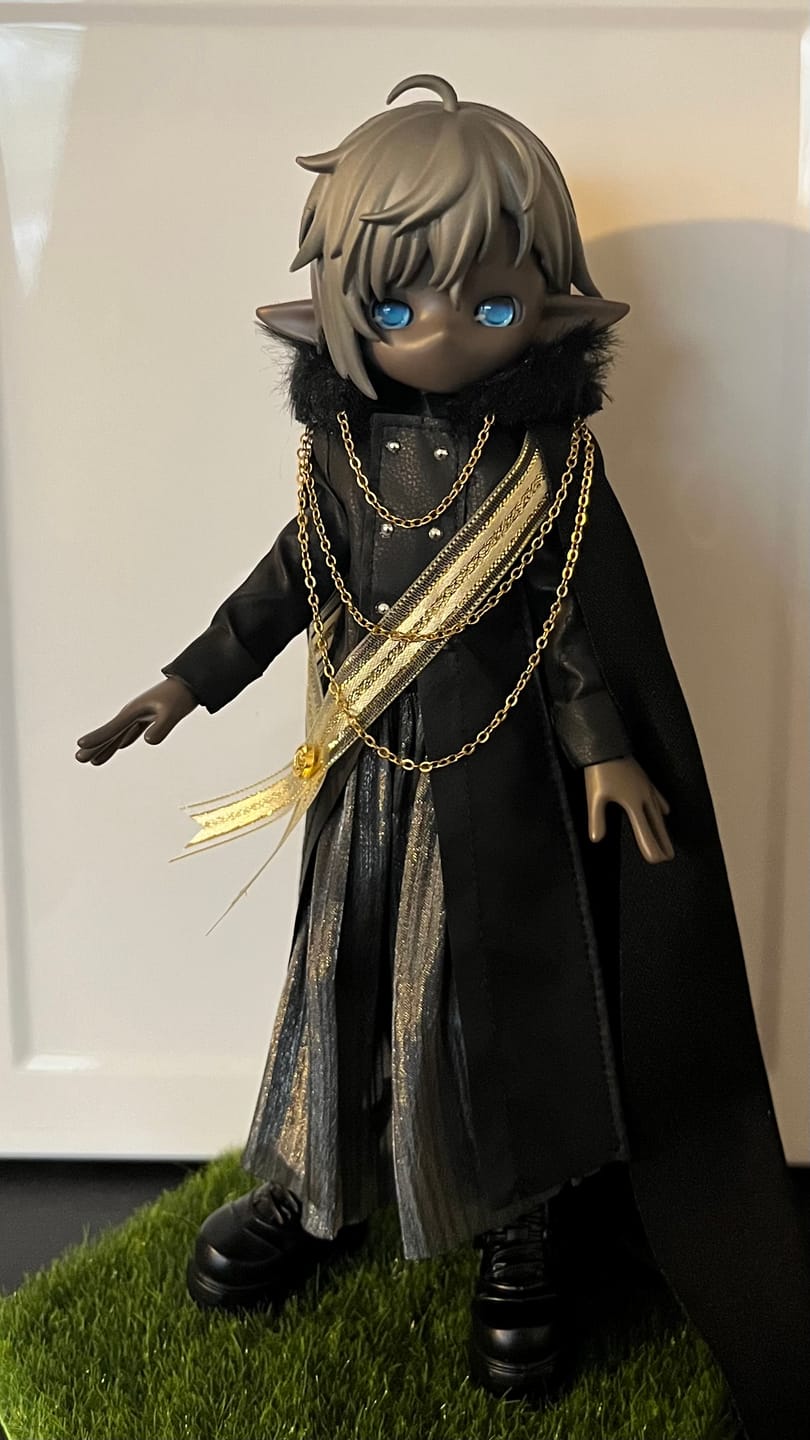 Customer photo review of Symbiotic Boundary Series Accessories