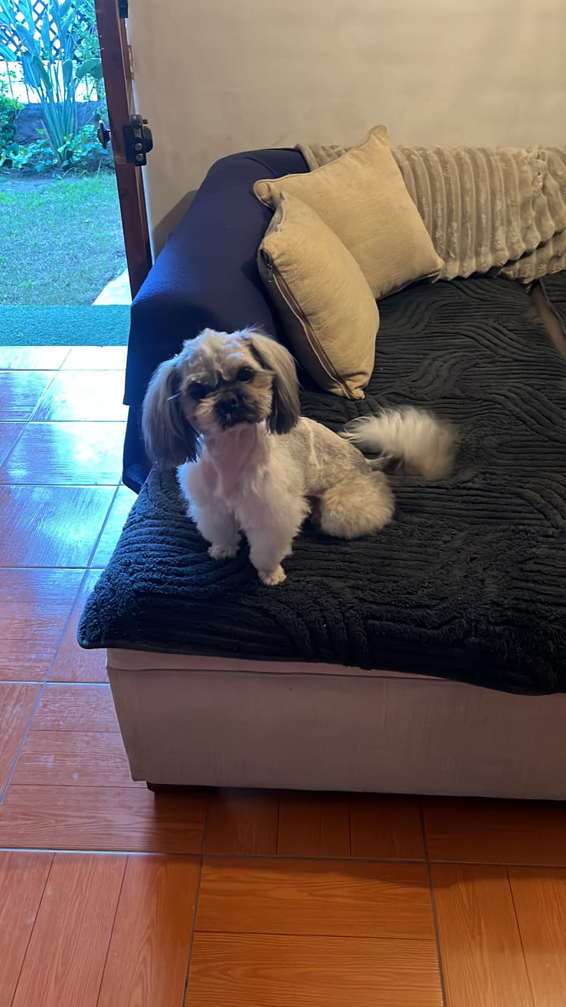 Customer photo review of PetFamily Foods Razas Pequeñas