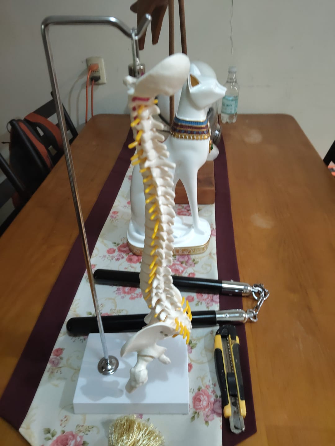 Customer photo review of Columna Vertebral 45 Cm Con Cadera