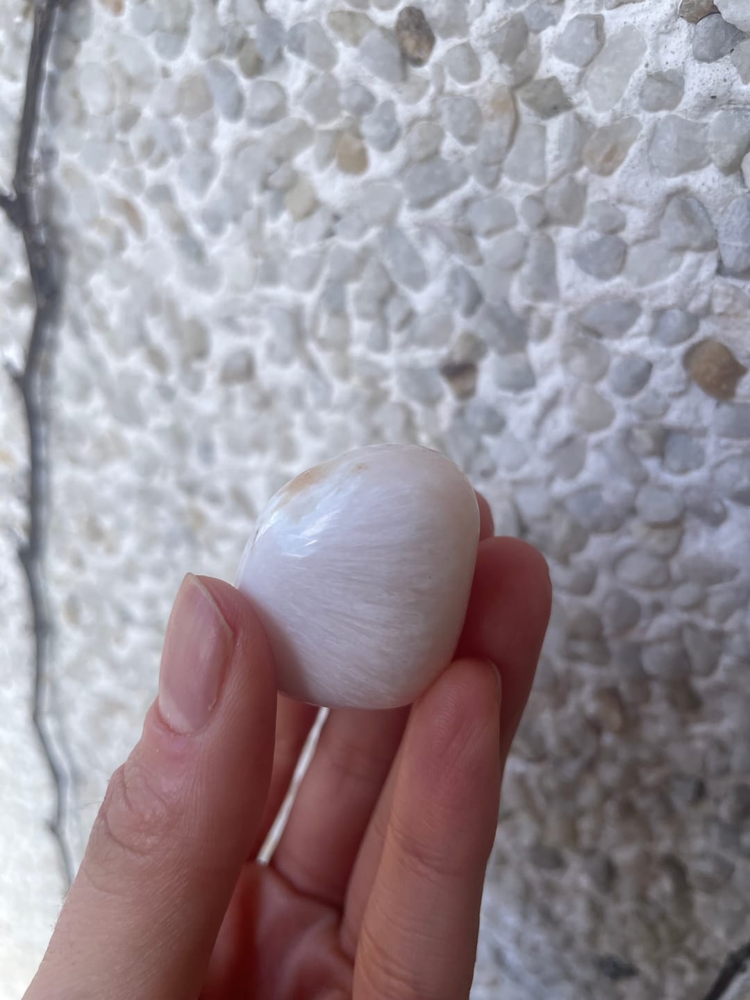 Customer photo review of Estilbita con Escolecita Rodado | Amor - Intuición