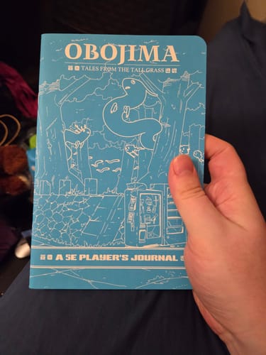 Customer photo review of Hero Journals: Obojima Player Character Journal 3-Pack