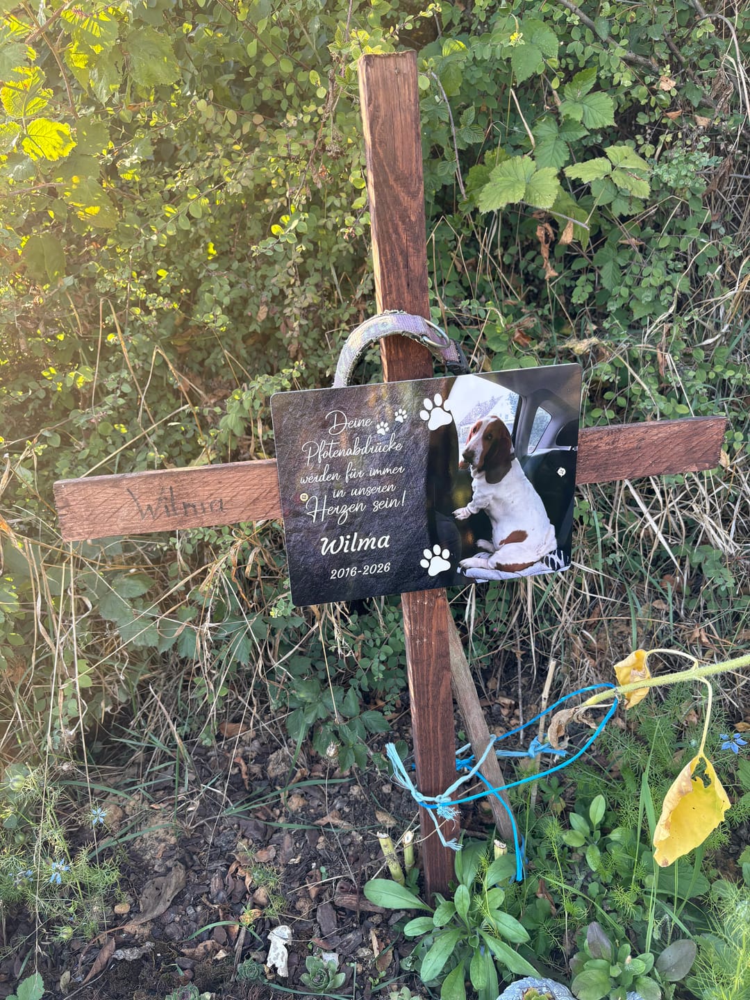 Customer photo review of Hunde Gedenktafel mit Foto & Spruch (UV- & Wetterfest)