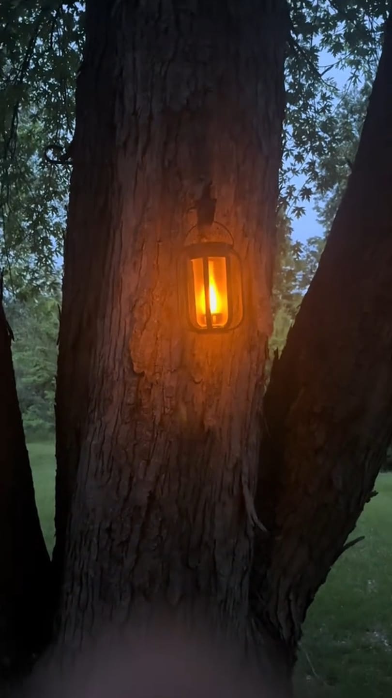 Customer photo review of Lumo™ Flameless Lantern