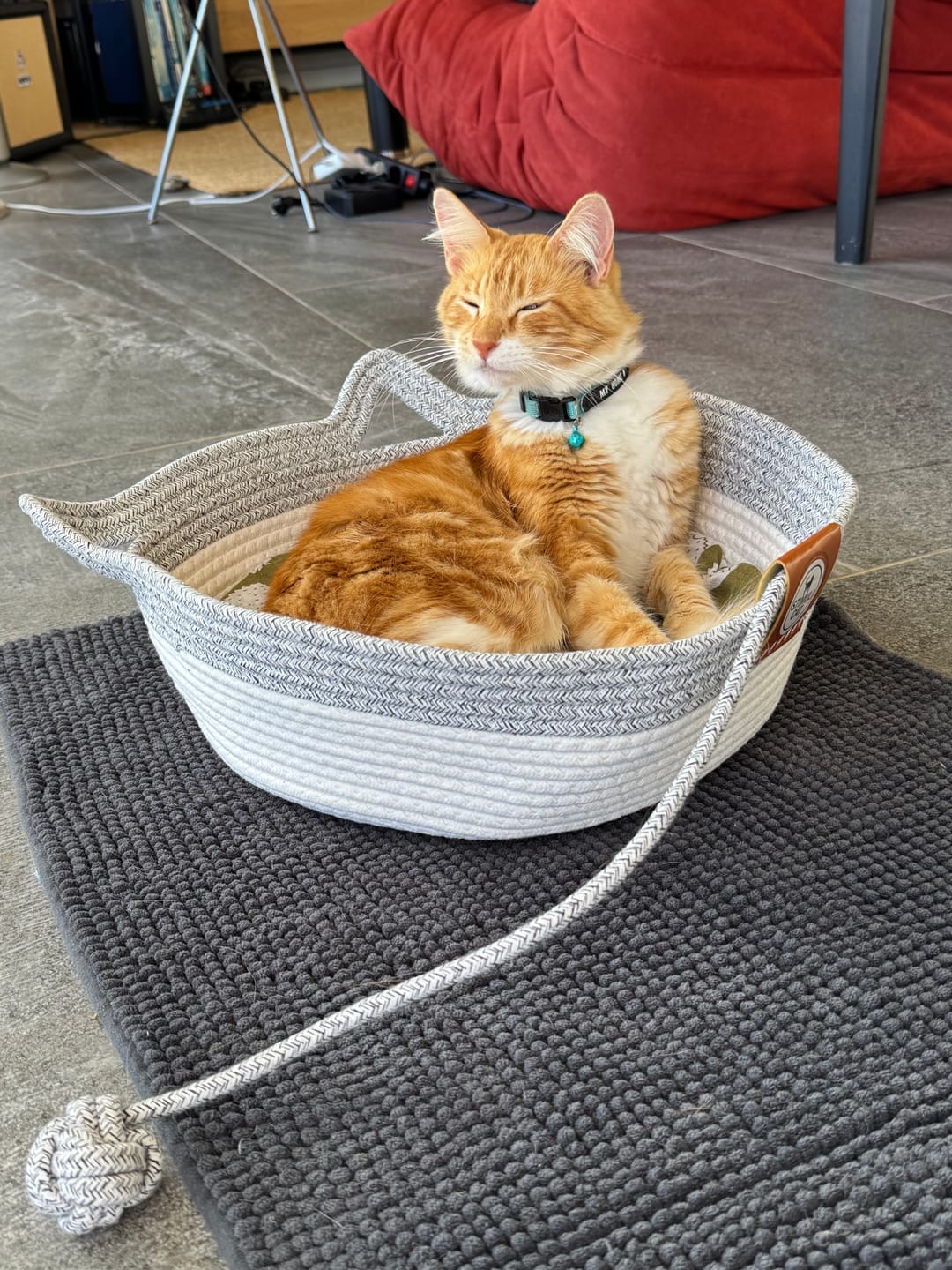 Customer photo review of Vyroon Wohlfühlnest™