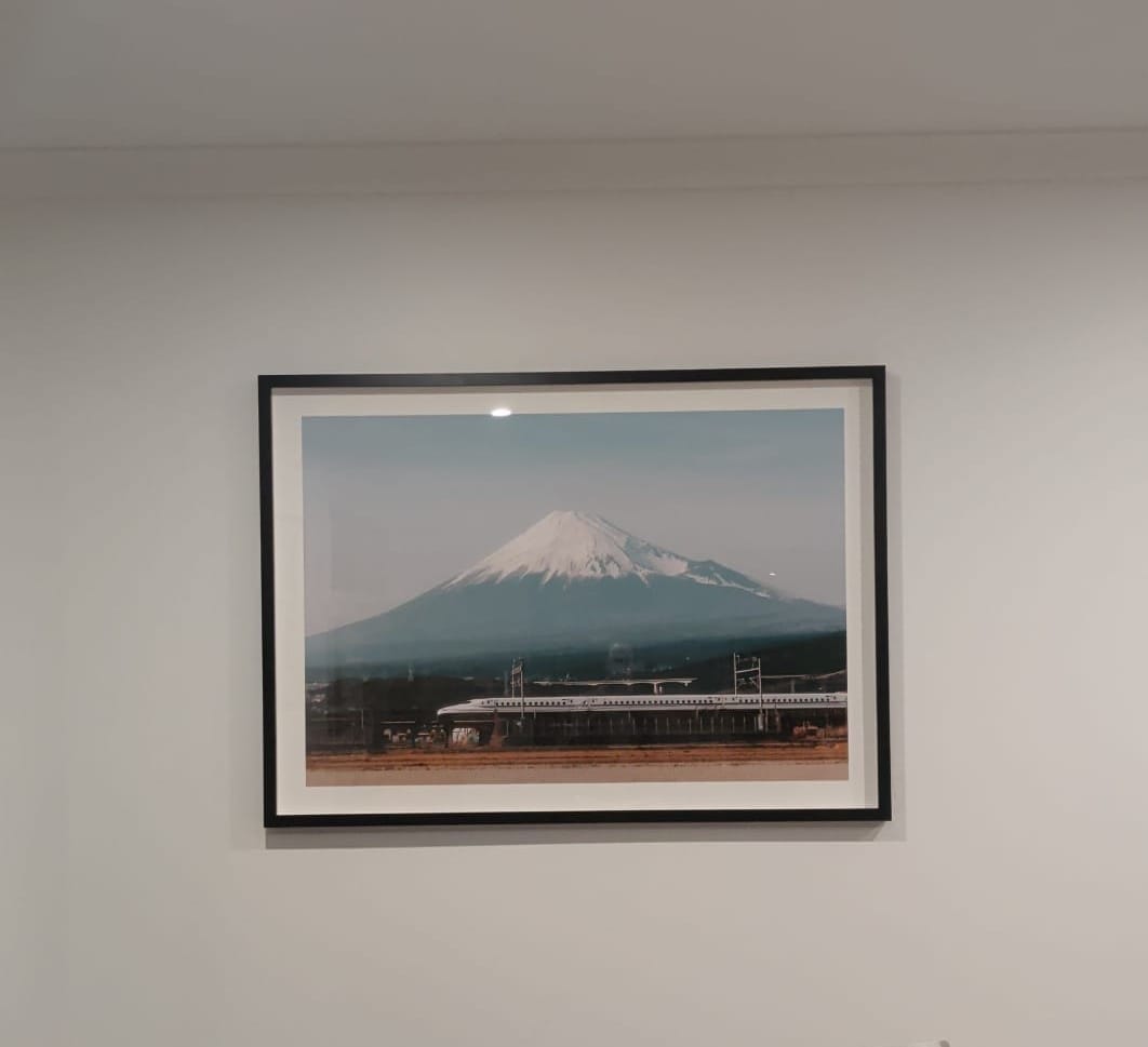 Customer photo review of Mt Fuji Shinkansen