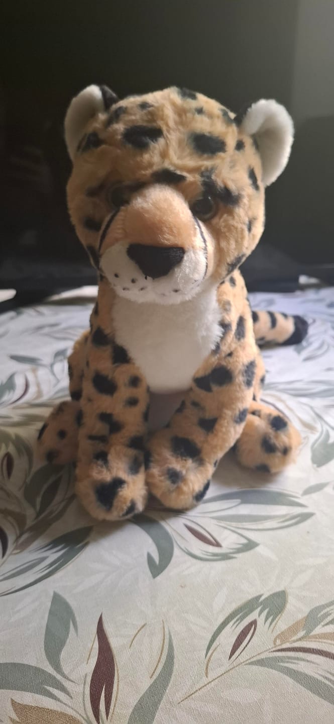 Customer photo review of The Sprint Plush