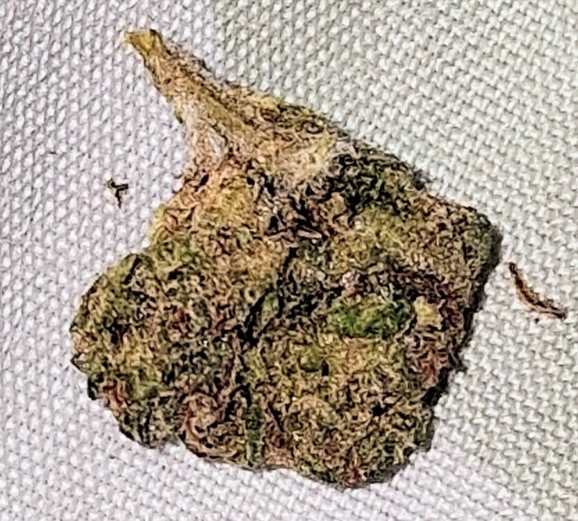 Customer photo review of Bulk THCA Flower Pounds