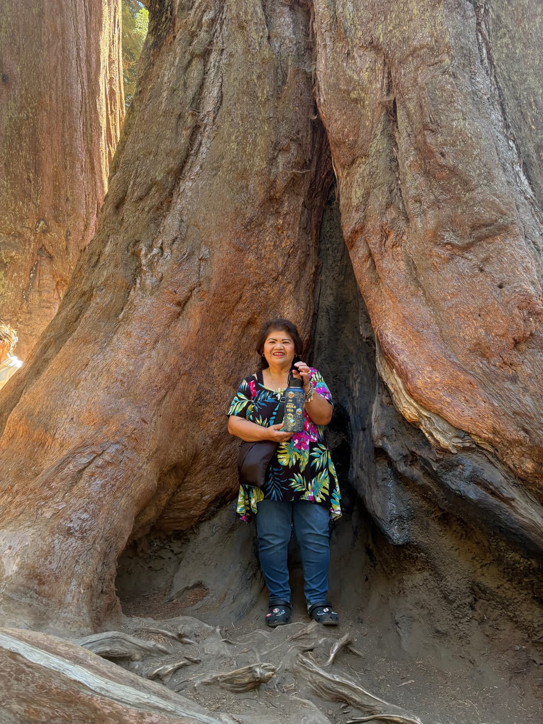 Customer photo review of Lets Wander™ National Parks Water Bottle + Stickers