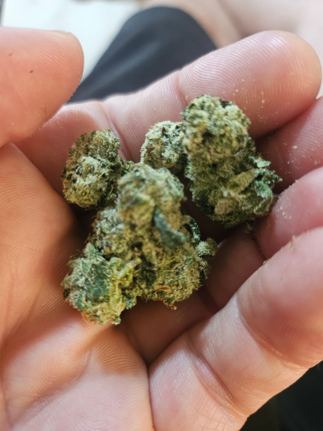 Customer photo review of Larry OG Smalls THCA Flower (Exotic)