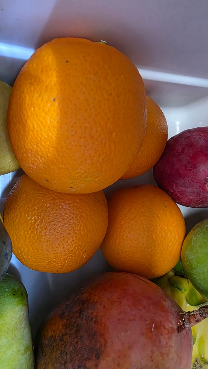 Customer photo review of Orangen Valencia Bio neue Ernte
