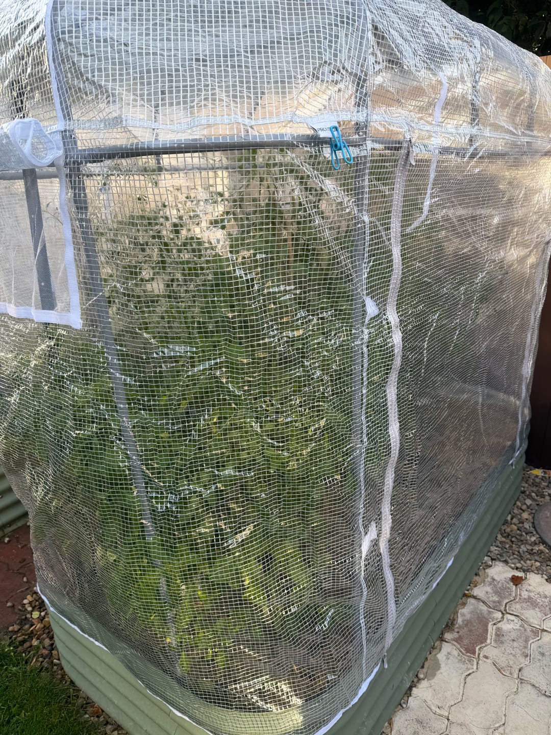 Customer photo review of Greenhouse (Cover only)