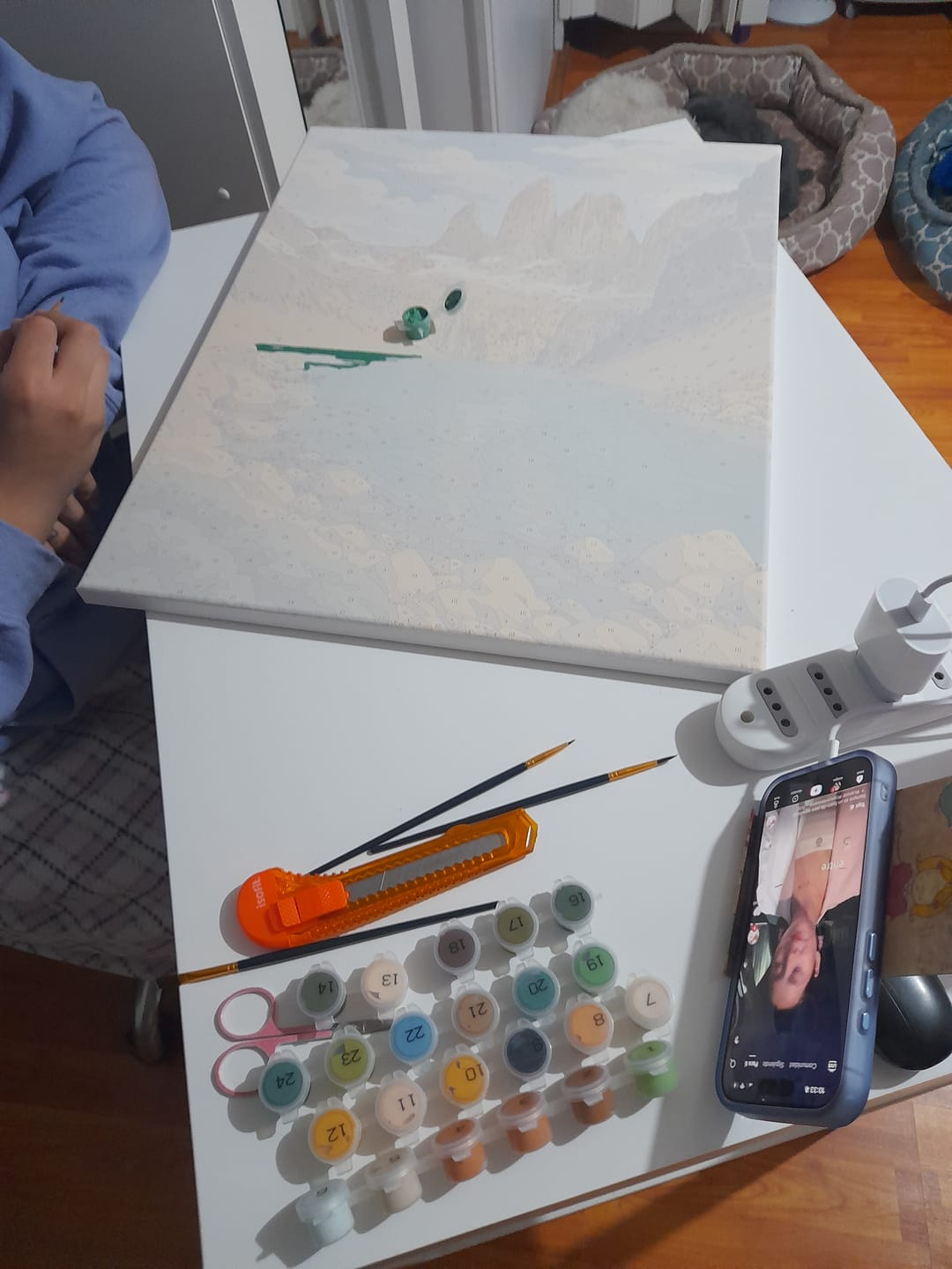 Customer photo review of Torres del Paine (Pintura por Números) 40x50 cm