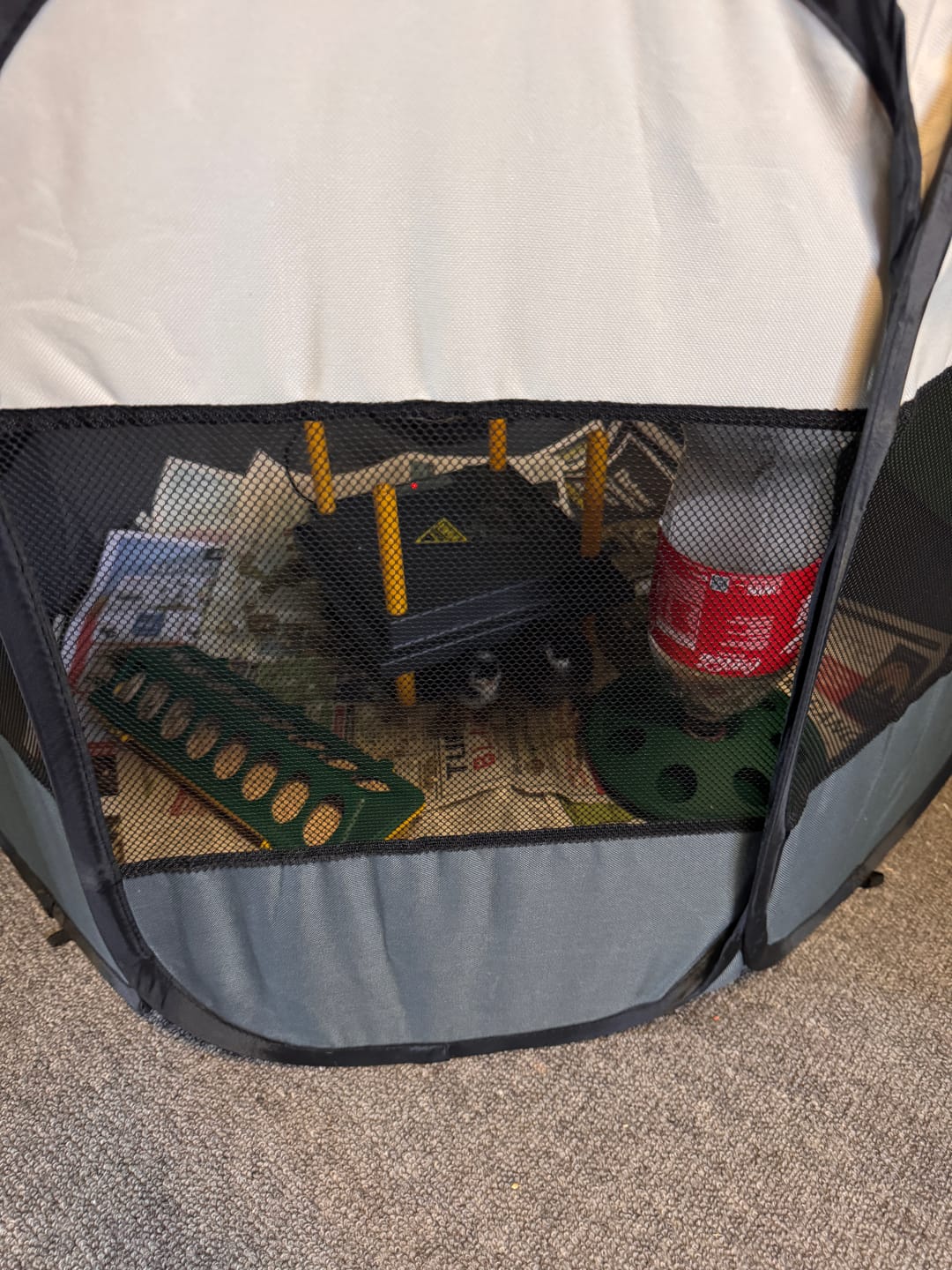 Customer photo review of Chick Brooder Combo WP25 #1
