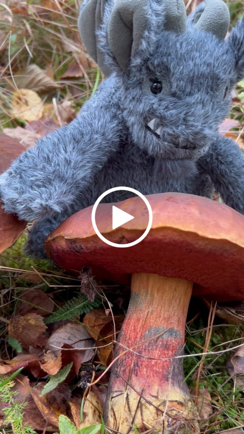 Customer video review of Growlston Gargoyle | Jellycat Halloween 2026