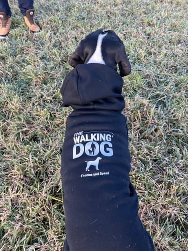 Customer photo review of Sudadera para perros personalizada - The Walking Dog