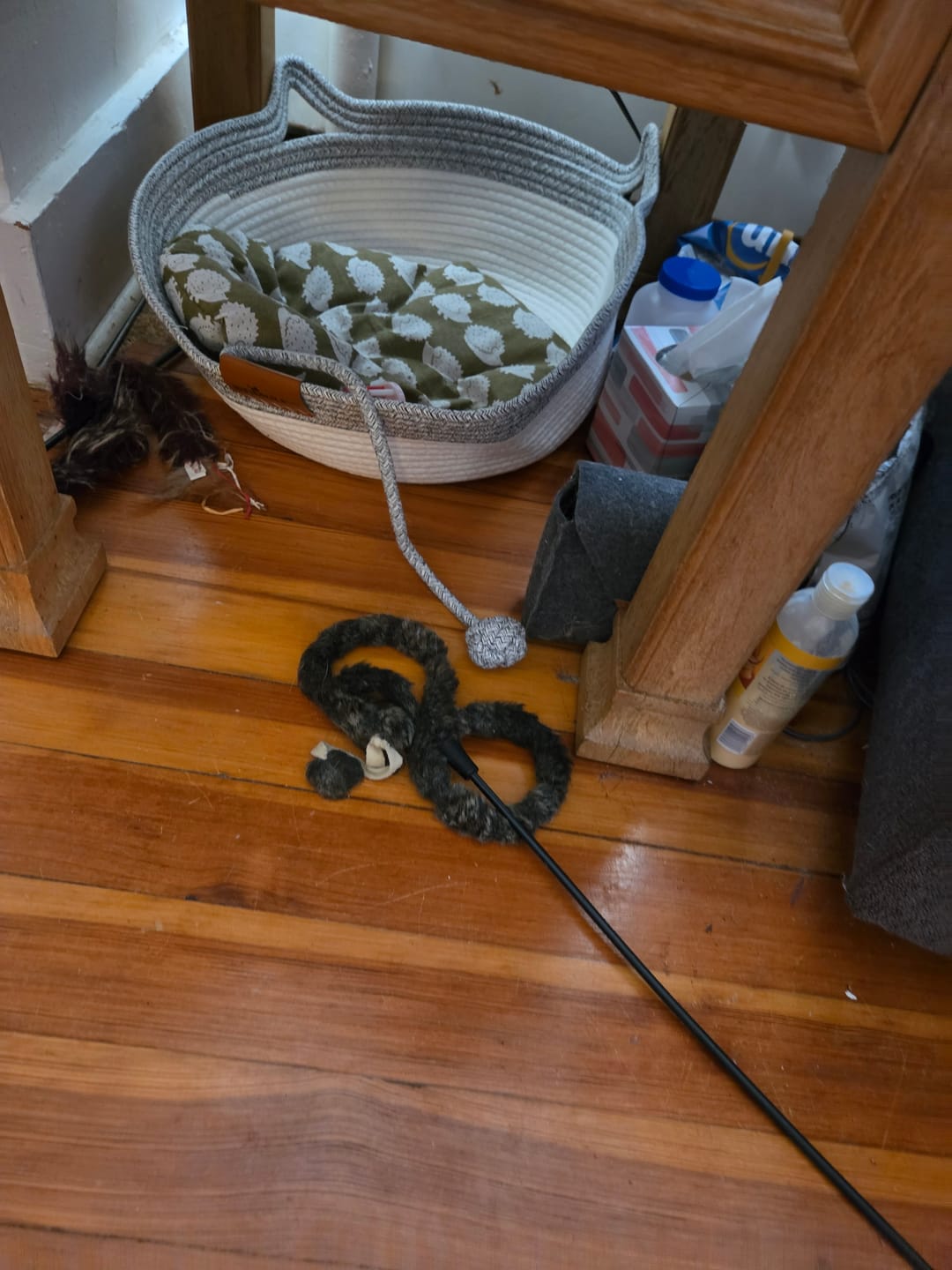 Customer photo review of Instinct Basket | Meet the first research-backed natural territory for indoor cats