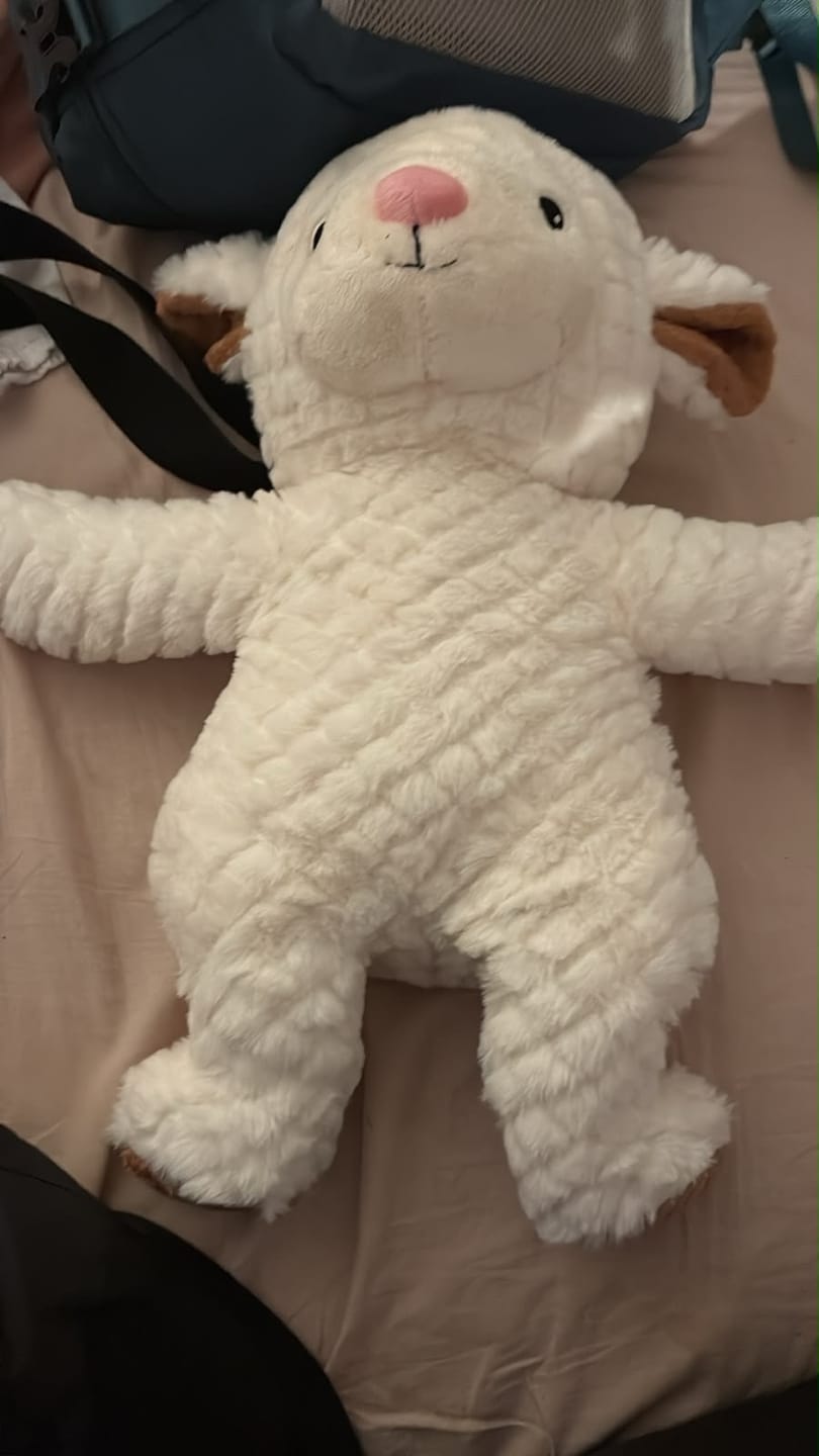 Customer photo review of Lotgenootje Schaap 2kg