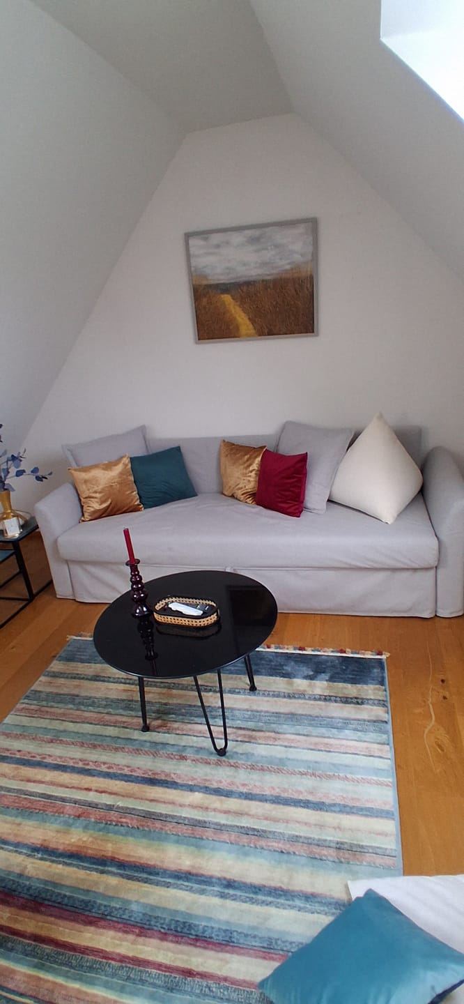 Customer photo review of HOLMSUND 3 Seat IKEA Sofa Bed Cover