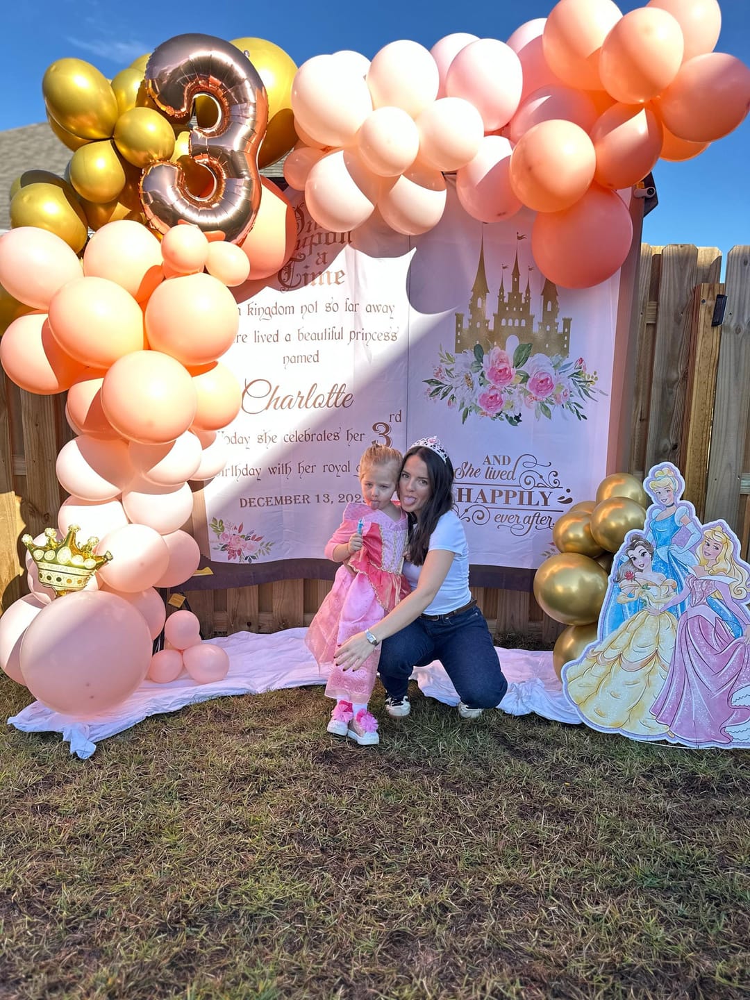 Customer photo review of Princess Party Decor Princess Castle Birthday Banner Storybook Backdrop Girl First Birthday Sign Once Upon a Time Ladies 50th 5th 10th Decor