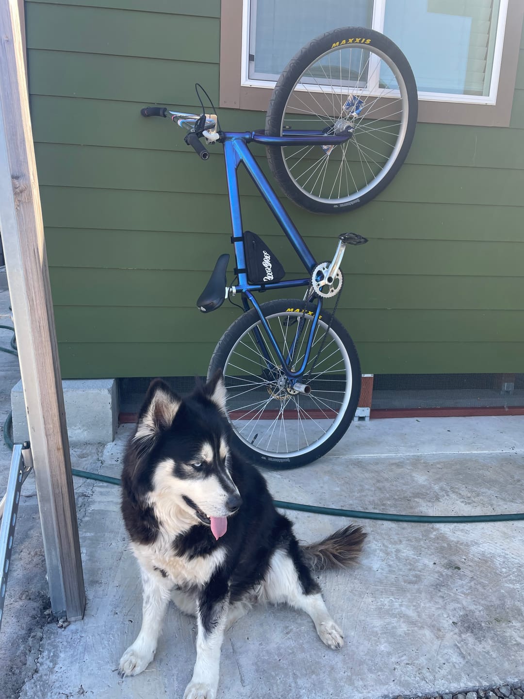 Customer photo review of FlashRide Sketch Bike Triangle Bag - 0.8L