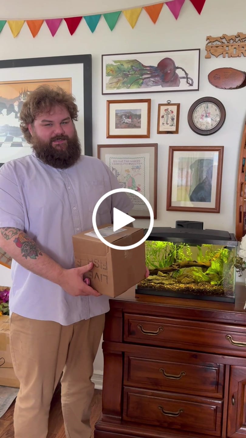 Customer video review of Neocaridina Skittles Shrimp Pack – Assorted Freshwater Colors