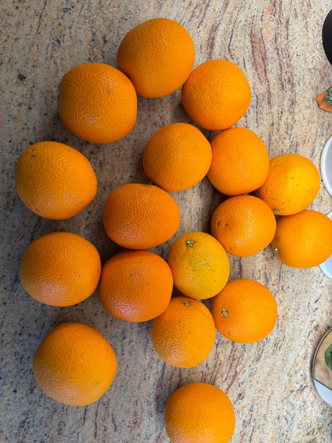 Customer photo review of Orangen Valencia Bio neue Ernte