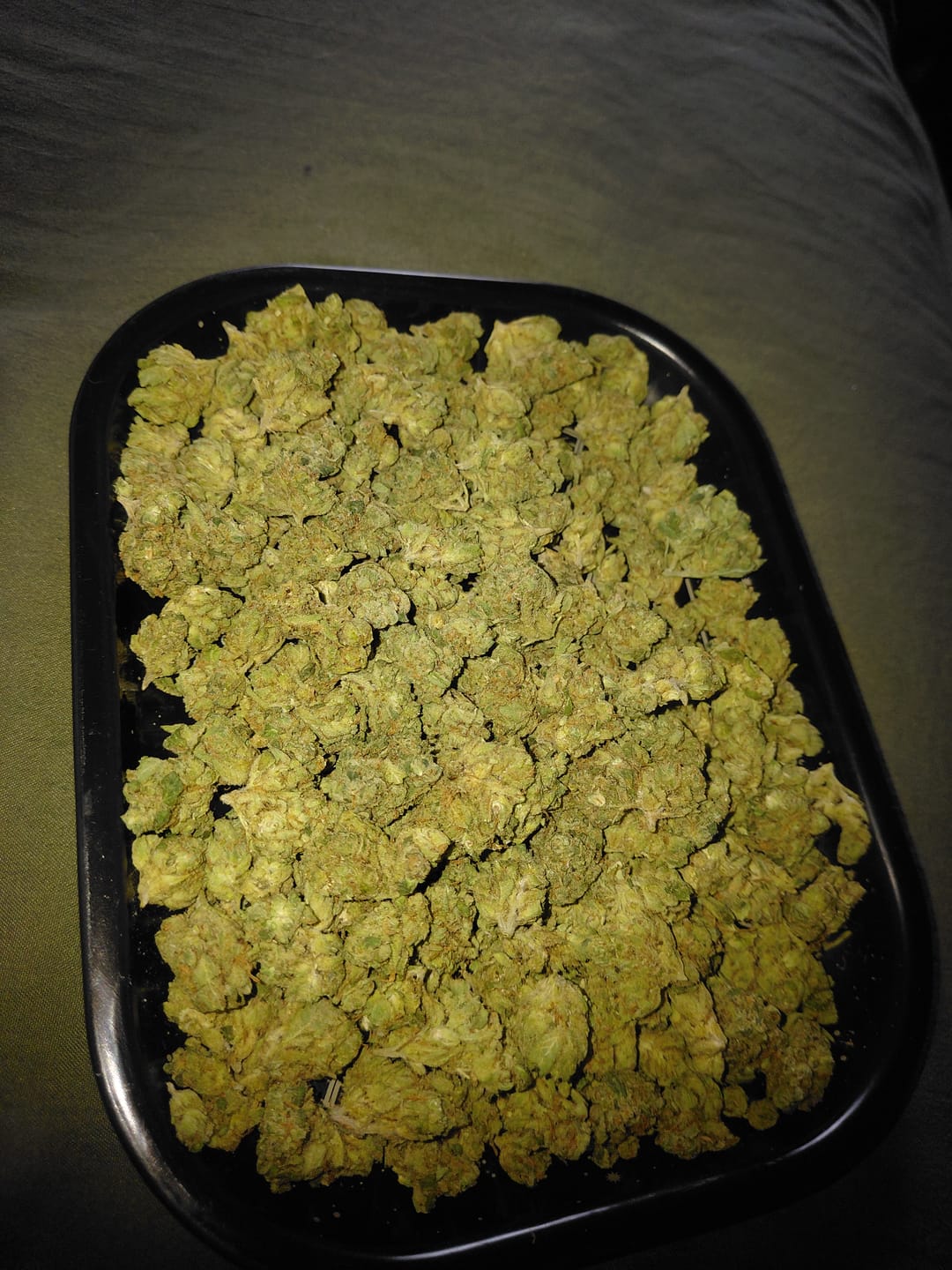 Customer photo review of 1 Oz Cheap THCA Small Buds