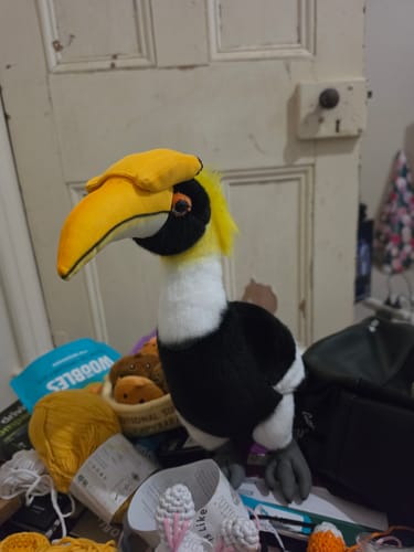 Customer photo review of Great Hornbill Bird Soft Stuffed Plush Toy