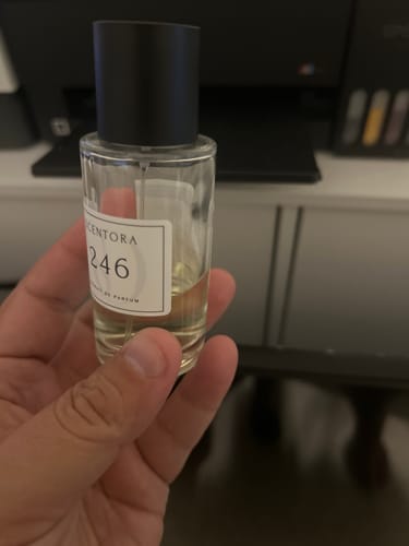 Customer photo review of SCENTORA 246