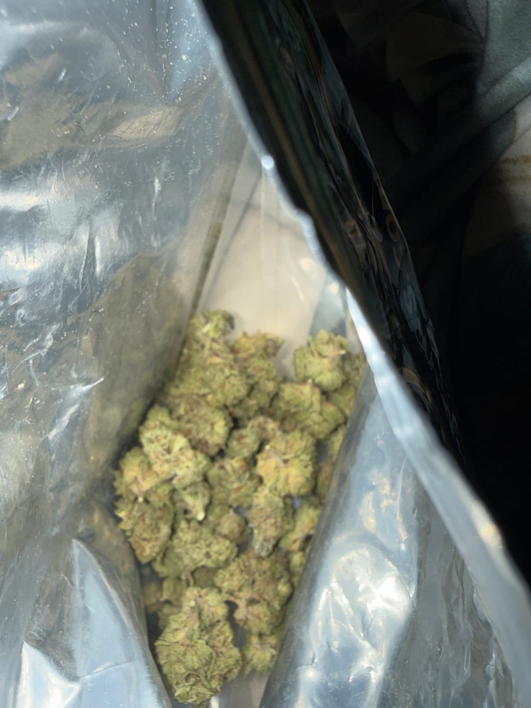Customer photo review of Kinglato THCA Flower