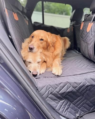 Customer photo review of Festpfote™ Hundeliege fürs Auto mit festem Boden