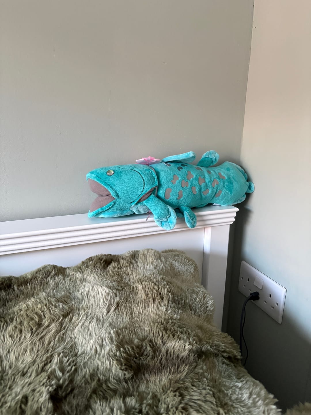 Customer photo review of Prehistoric Coelacanth Plush Toy – Realistic and Soft Stuffed Ancient Deep-Sea Wonder