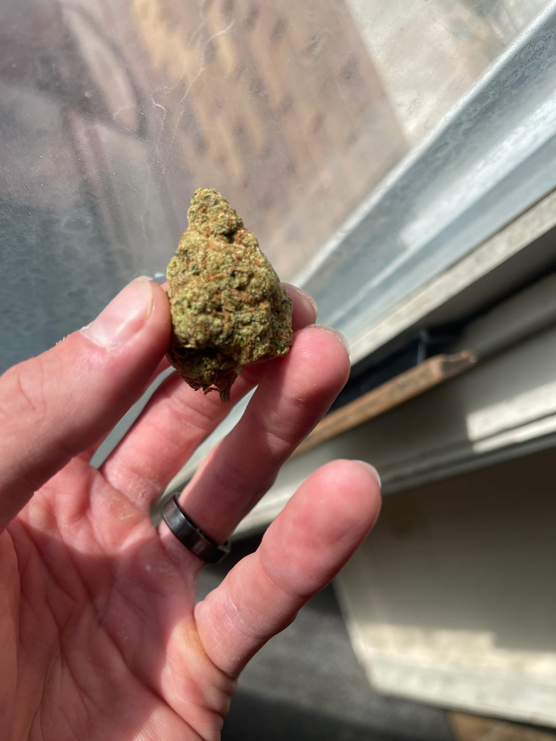 Customer photo review of Grape God (Half-Price Wholesale Clearance)