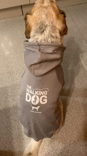 Customer photo review of Sudadera para perros personalizada - The Walking Dog