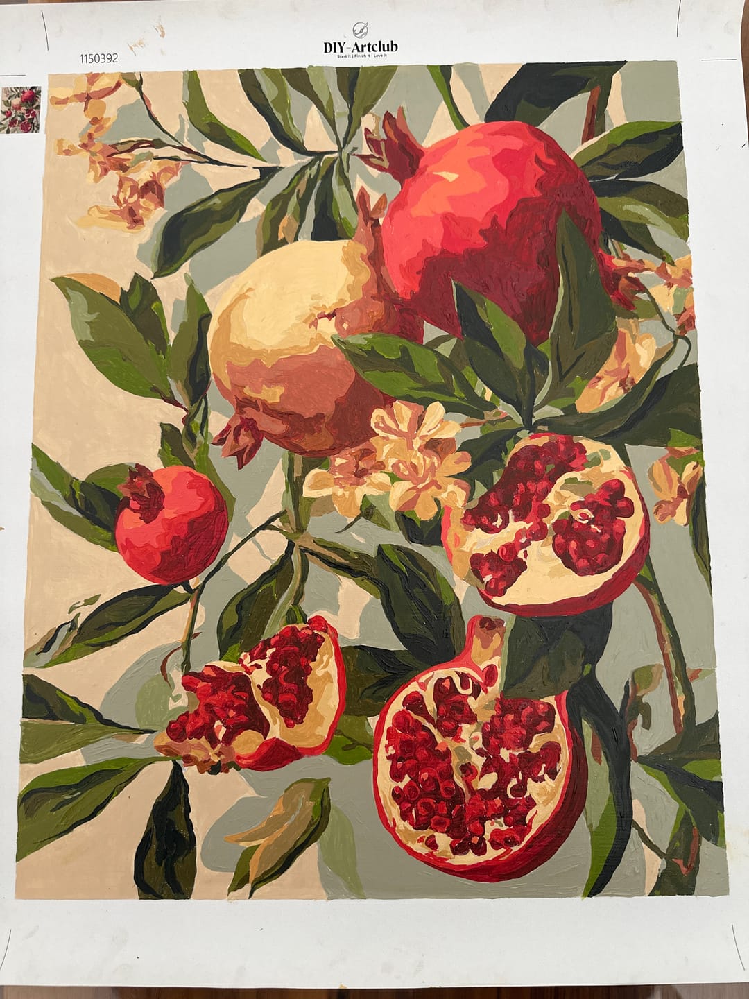 Customer photo review of Blooming pomegranates | Paint by Number