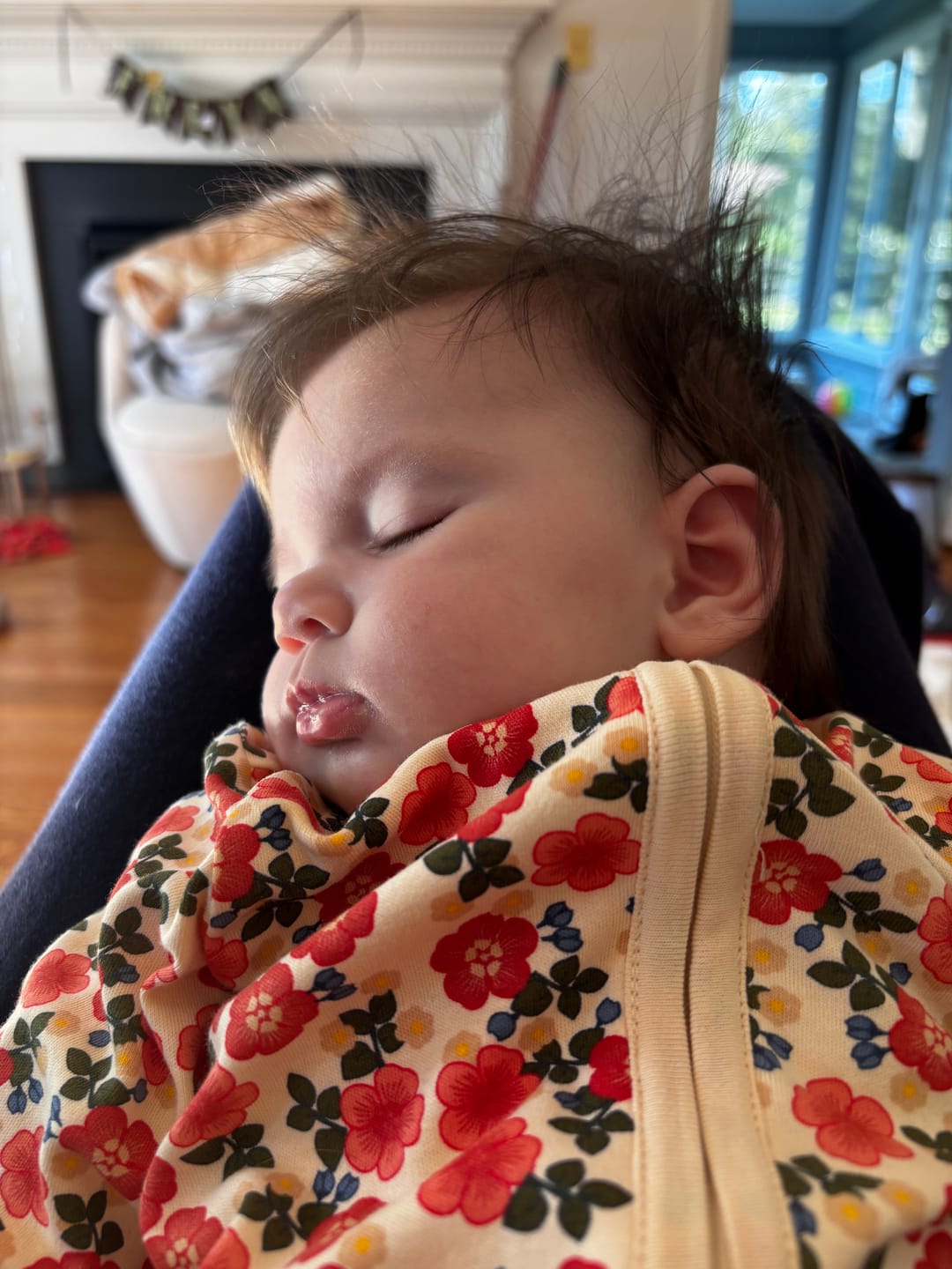 Customer photo review of Petals Organic Zip Babygrow
